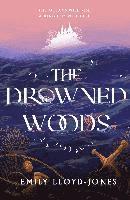 bokomslag Drowned Woods