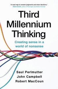 bokomslag Third Millennium Thinking