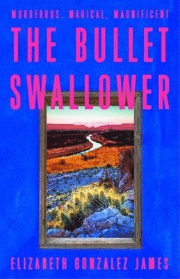 Bullet Swallower