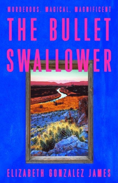 Bullet Swallower 1