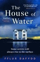 bokomslag The House of Water