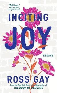 bokomslag Inciting Joy