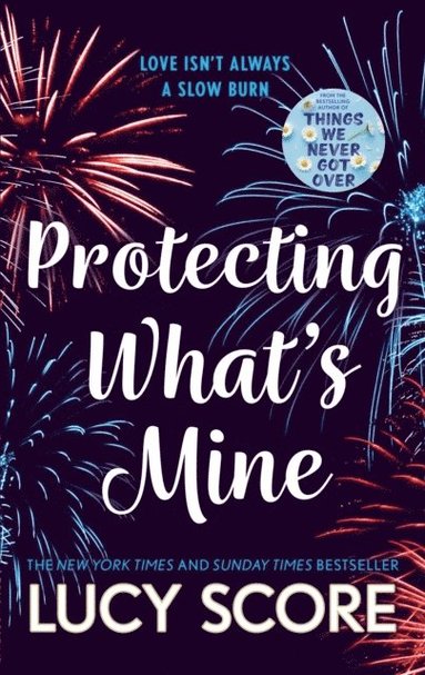 bokomslag Protecting What's Mine