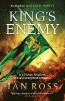 bokomslag King's Enemy