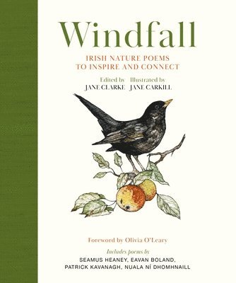 Windfall 1