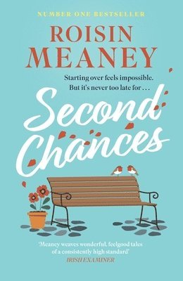 Roisin Meaney - Second Chances, Häftad