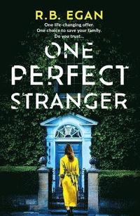 bokomslag One Perfect Stranger