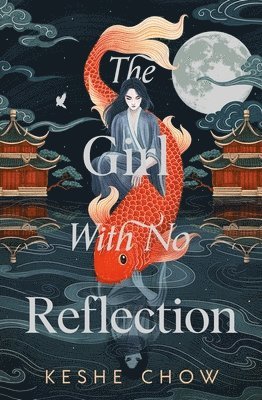 The Girl With No Reflection 1