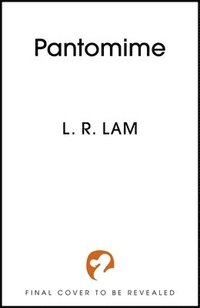 bokomslag Pantomime