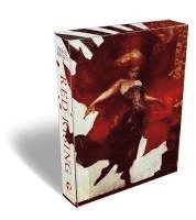 bokomslag Red Rising