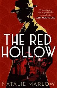bokomslag The Red Hollow