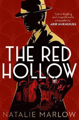 bokomslag The Red Hollow