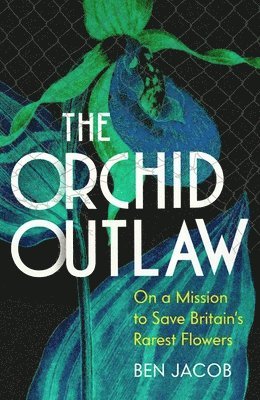 Orchid Outlaw 1