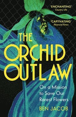Orchid Outlaw 1