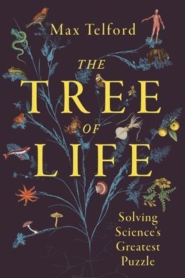 bokomslag The Tree of Life