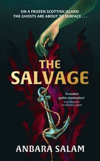 bokomslag The Salvage