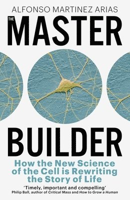 The Master Builder 1