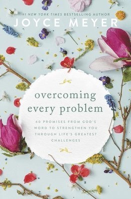 bokomslag Overcoming Every Problem