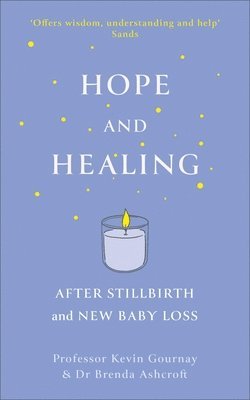 bokomslag Hope and Healing After Stillbirth And New Baby Loss