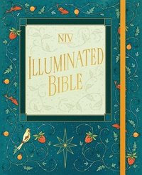 bokomslag NIV Illuminated Bible