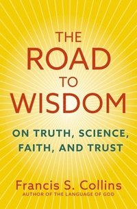 bokomslag Road to Wisdom