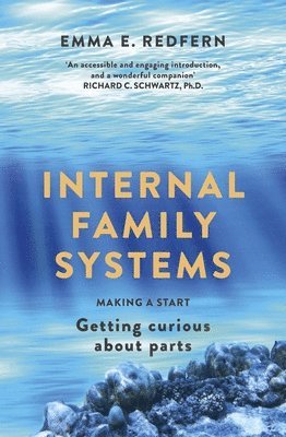 bokomslag Internal Family Systems