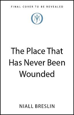 bokomslag Place That Has Never Been Wounded