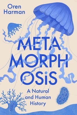 bokomslag Metamorphosis