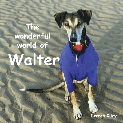 The wonderful world of Walter 1