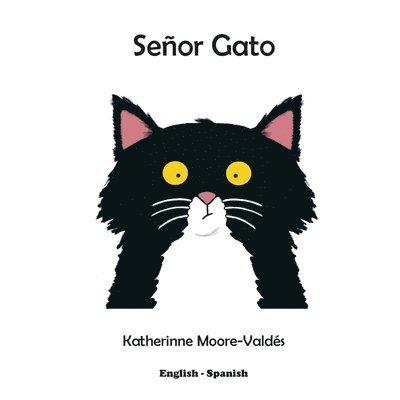 Seor Gato 1