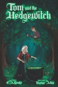 bokomslag Tom And The Hedgewitch