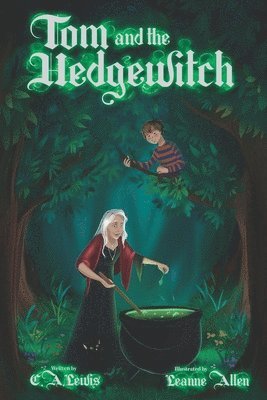 bokomslag Tom And The Hedgewitch