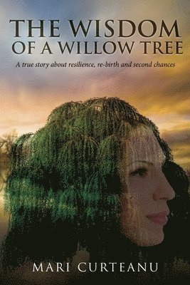 The Wisdom of a Willow Tree 1