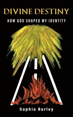 Sophia Burley - Divine Destiny, Häftad