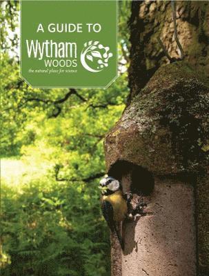 bokomslag Guide to Wytham Woods