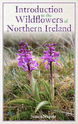 James Napier - Introduction to the Wildflowers of Northern Ireland, Häftad