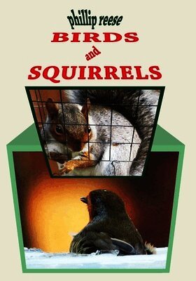 Phillip Reese - BIRDS and SQUIRRELS, Häftad