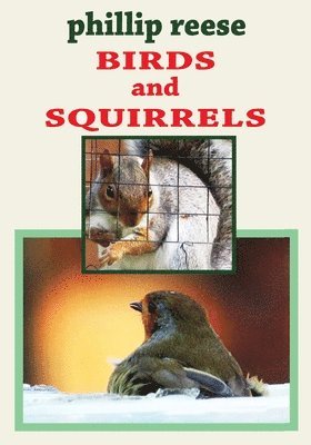 BIRDS and SQUIRRELS 1