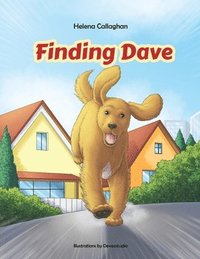 bokomslag Finding Dave