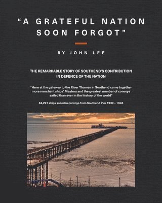 bokomslag Grateful Nation Soon Forgot