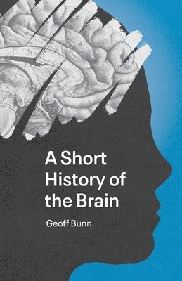 bokomslag Short History of the Brain