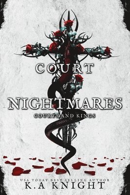 bokomslag Court of Nightmares