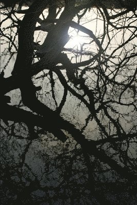 Michele Anne McLintock, Michele Anne Mclintock - Glen, Häftad