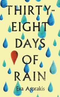 bokomslag Thirty-Eight Days of Rain