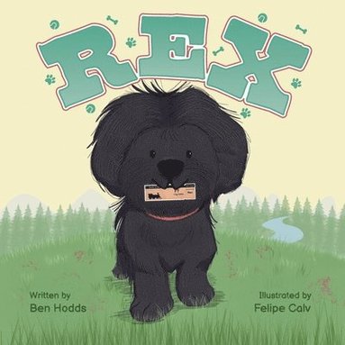 bokomslag Rex