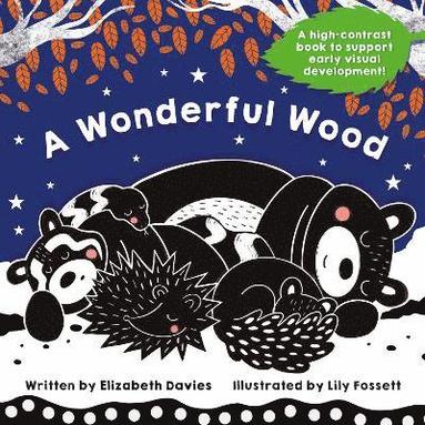 bokomslag Wonderful Wood: A Black-and-White High-Contrast Storybook for Newborns and Children aged 0-5