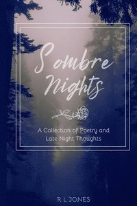 bokomslag Sombre Nights