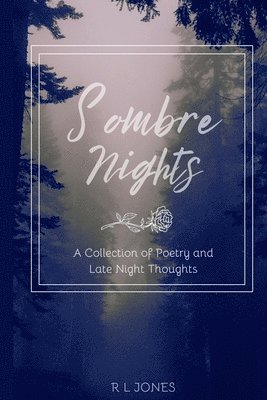 bokomslag Sombre Nights