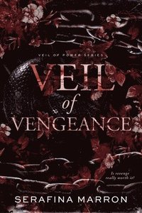 bokomslag Veil of Vengeance