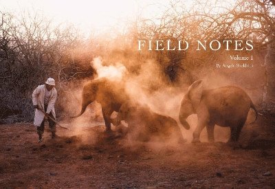 Field Notes 1